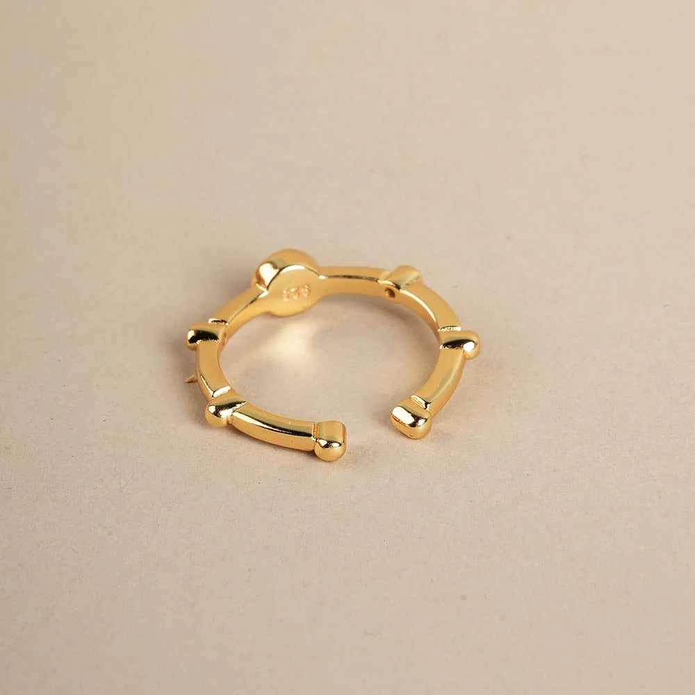 The Aegis Ring™